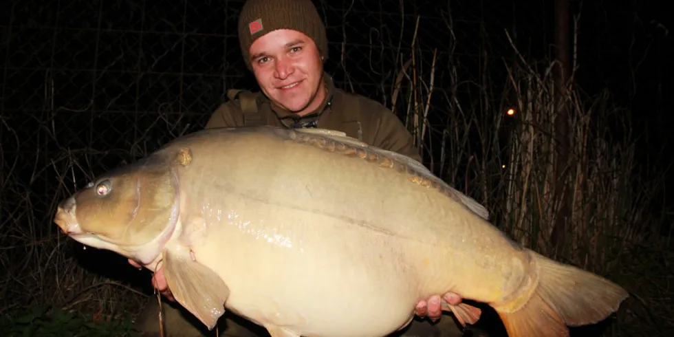 Listopadová vycházka