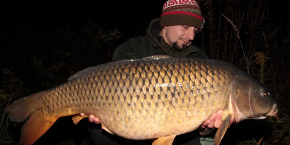 Labský válečník Tomka, část 2