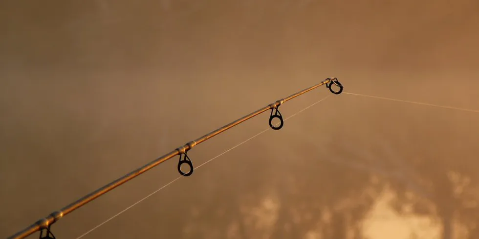 Kaprařina jak ji neznáte