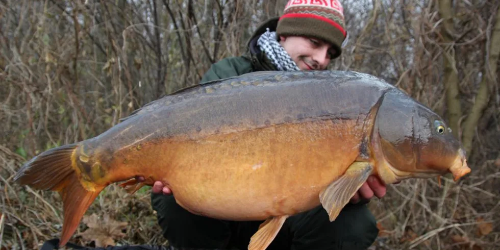 Tomášův prosinec, č.1