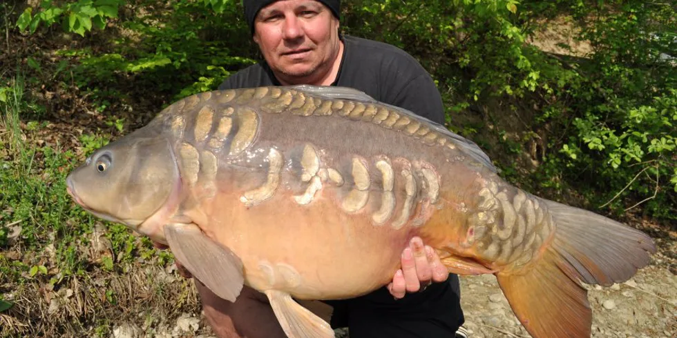 „ Se smíchem jde všechno líp “