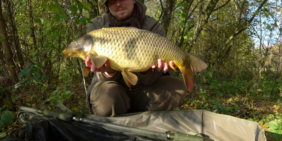 V listopadu na řece