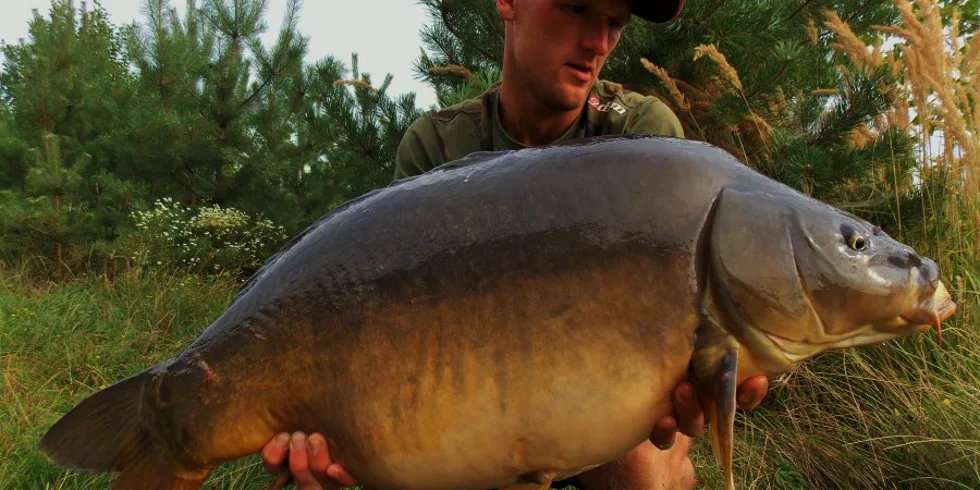 O krok zpět do sezóny 2016!