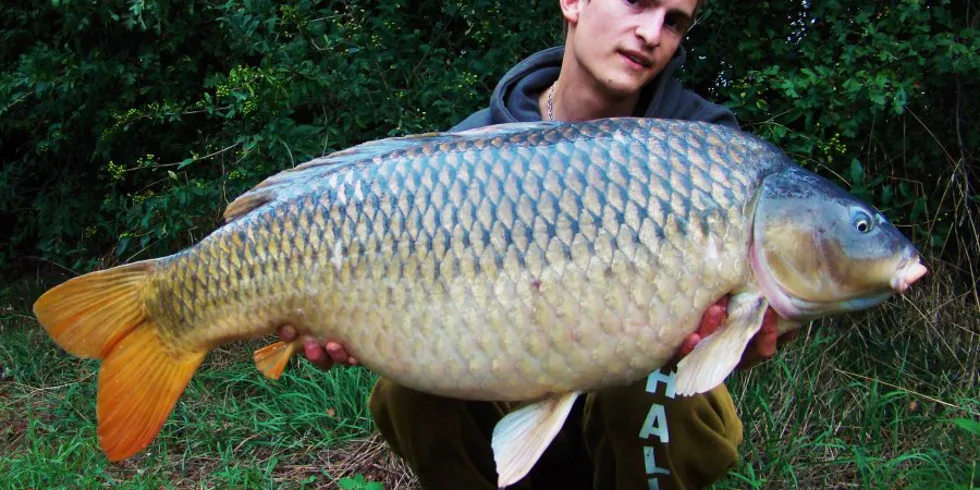 Od nikiaľ a z miest kde nie sú ryby