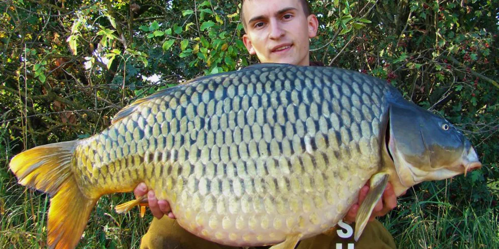 Mizivé okamiky krátkych výprav