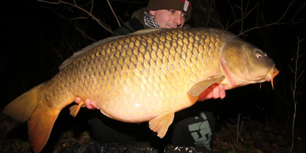 Naposledy v roce 2016