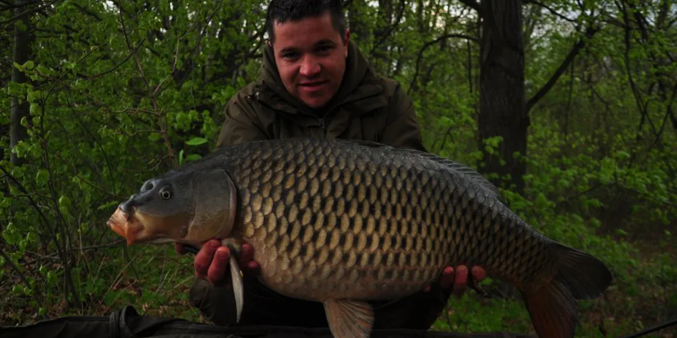 Scopex pokračuje na Labi