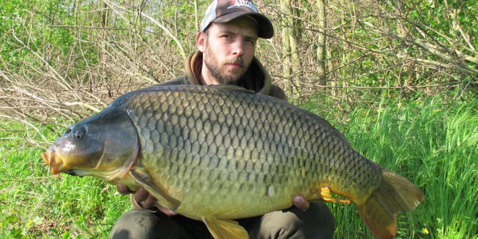 Proudnější část řeky