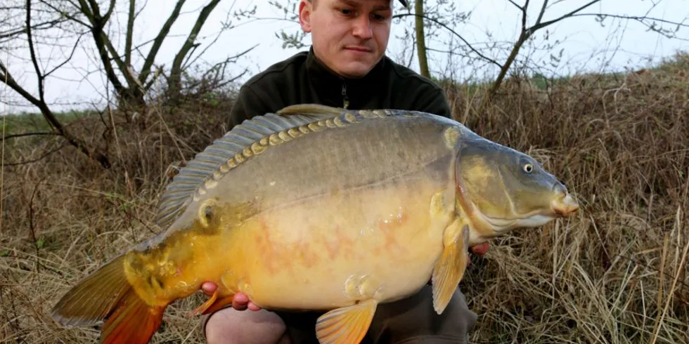 Odložený začátek sezóny