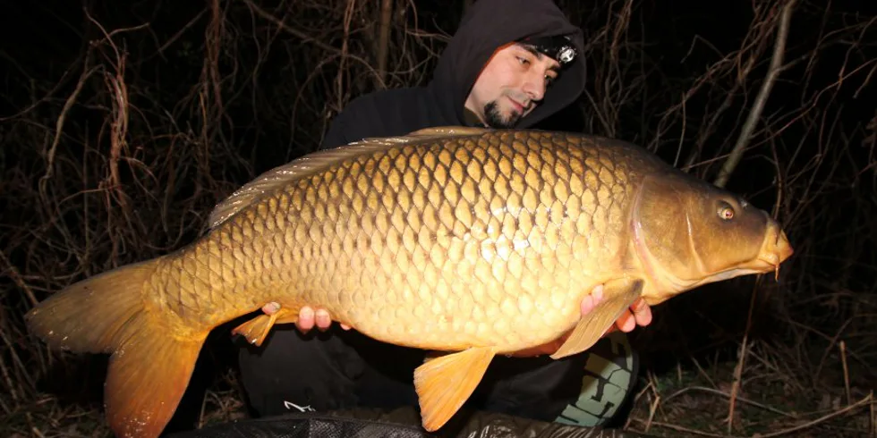 Tomkovo jaro, část.2