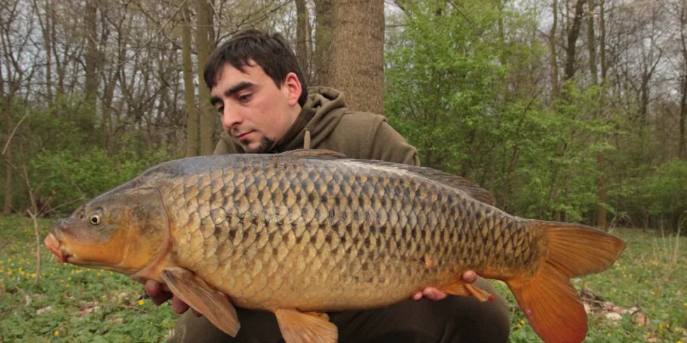 Tomkova labská série pokračuje