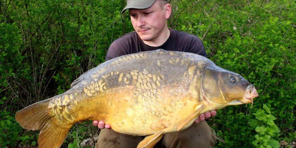 Dubnové dobrodružství za hranicemi – I. díl