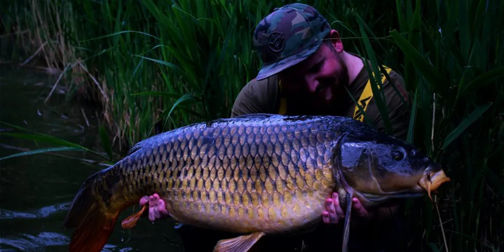 Vytrvalost přináší růže!