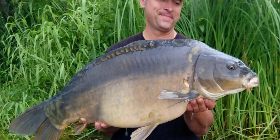 Po tření – Yellow Bulldogs