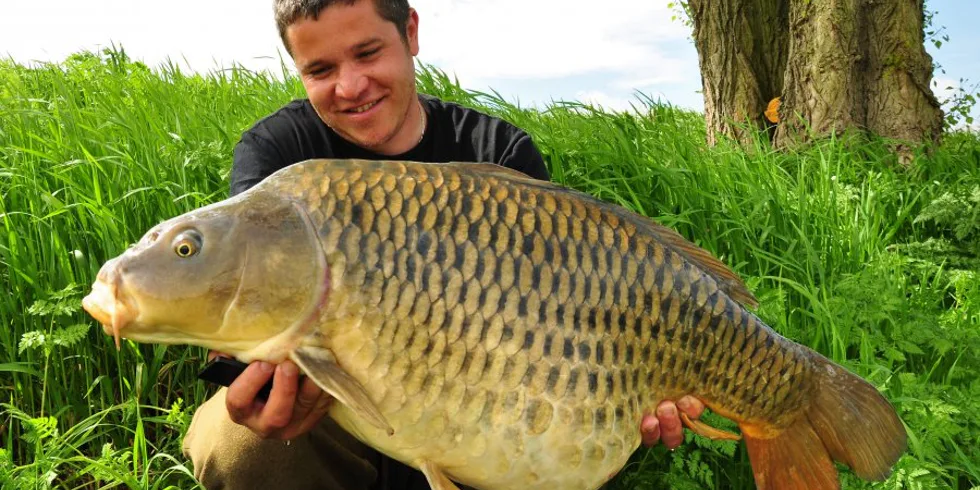 Scopexovo labské tažení pokračuje