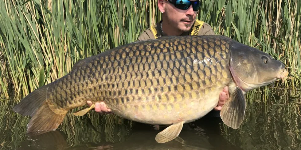 Carpkiller s Extasy!