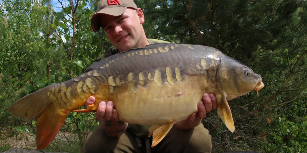 Jaro na pískovně, č.1