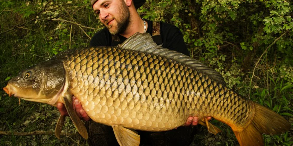 Po otvorení sezóny