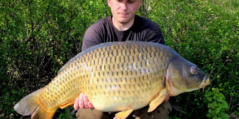 Opakované setkání