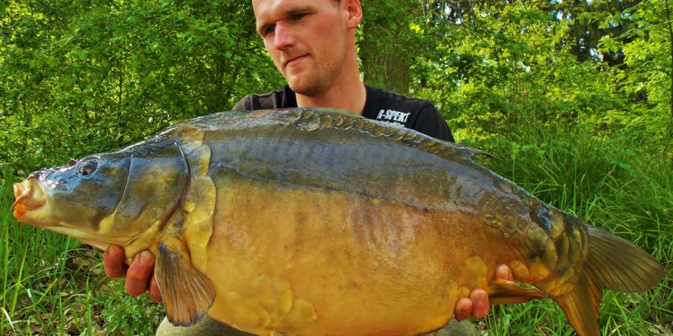 První lysci z trav!