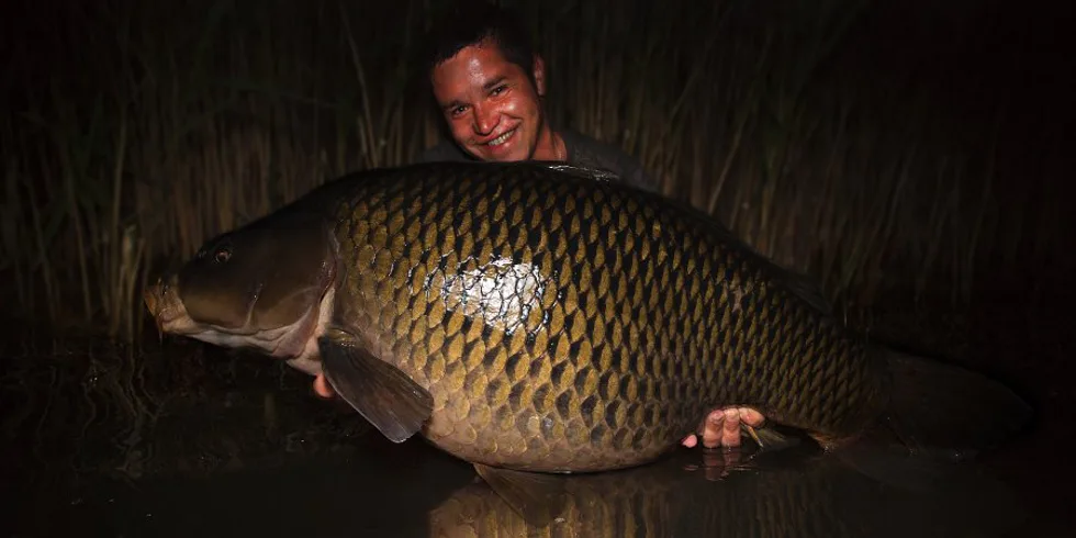 První úspěchy s Magnusem