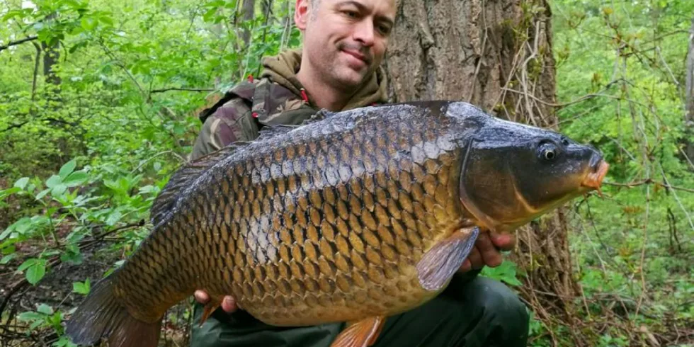 Záběr na přivítanou