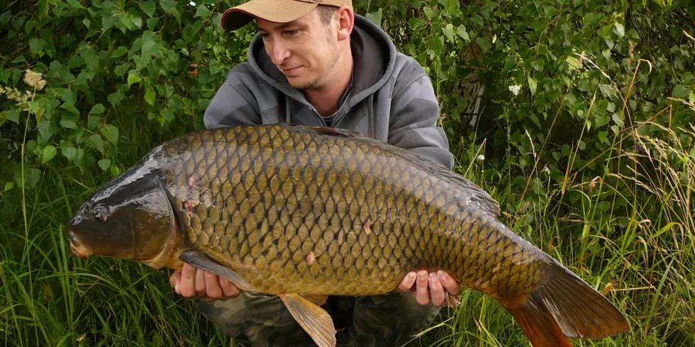 Kapr s vůní benzínu