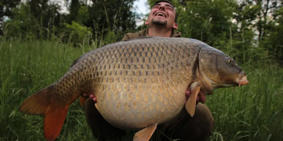 Velká jikra pro Tomku!