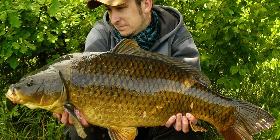 Pro tebe se vrátím