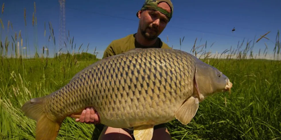 Lov v příbřežních partiích