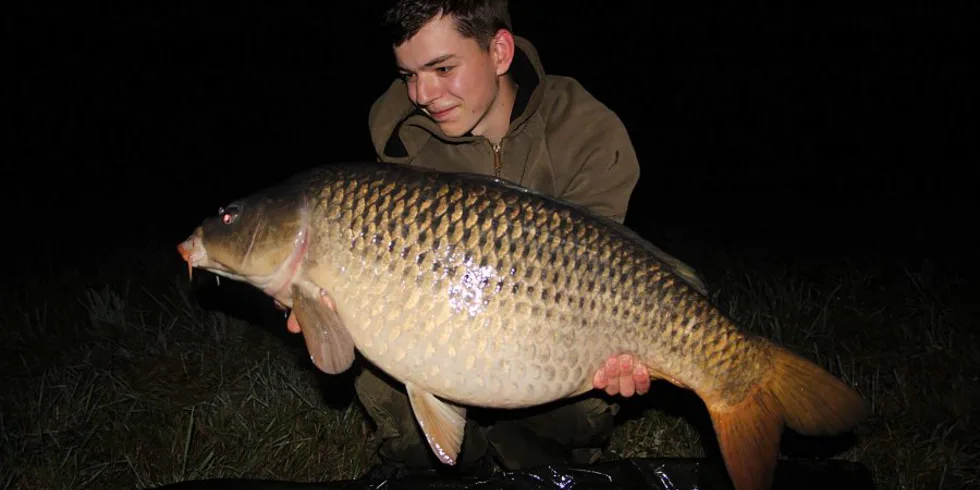 Honzovy krátké vycházky