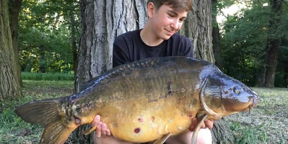 Ještě z období tření