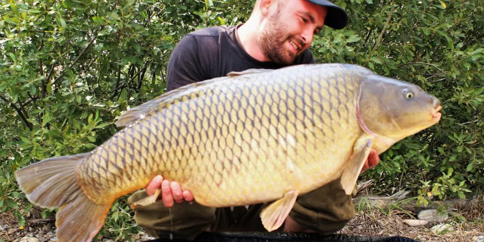 Piova výprava snov č.3