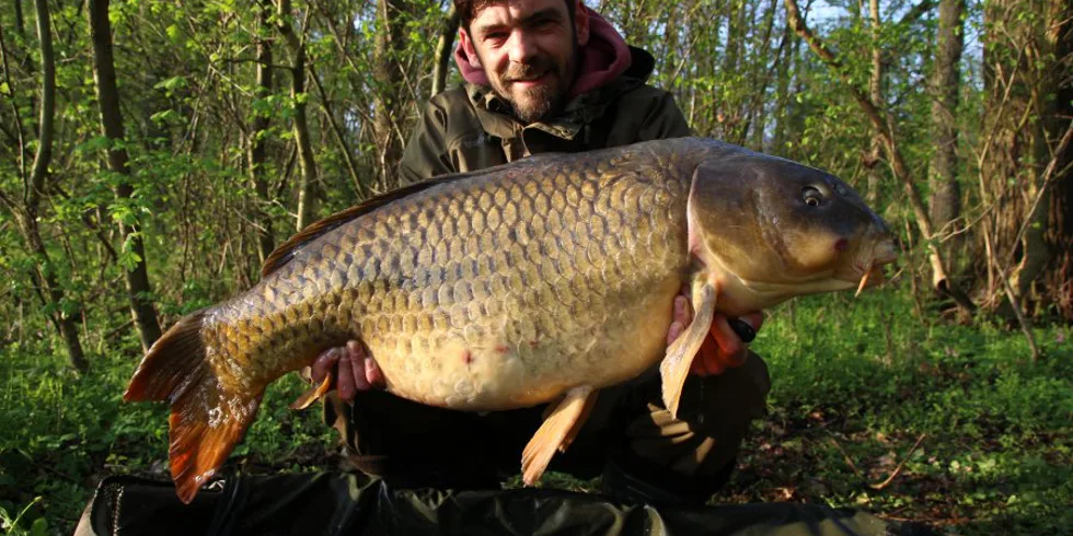 Bizonovy krátké vycházky