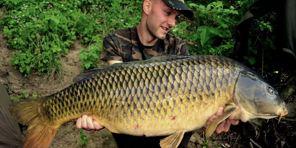 Červencová týdenní výprava