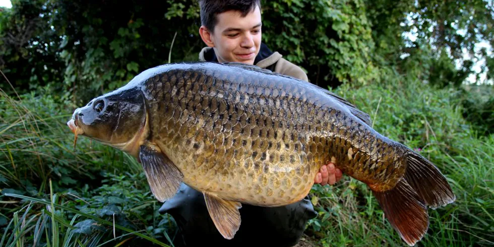 Nová místa u řeky