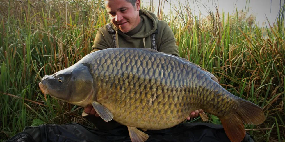 Scopex opět ve Francii