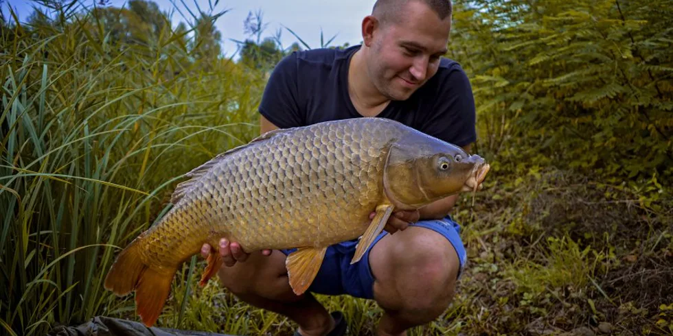 Gigantica v akci