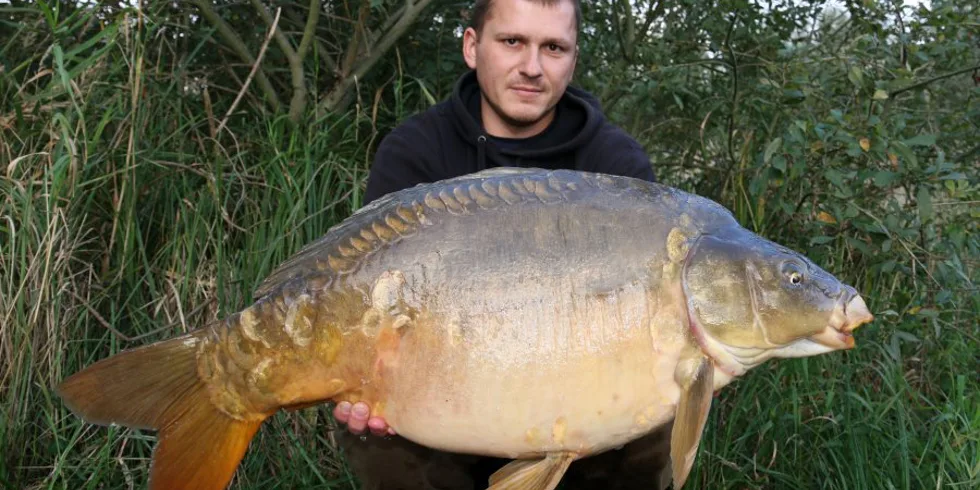 Odpolední rychlovka