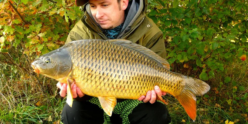 Testovací rychlovka