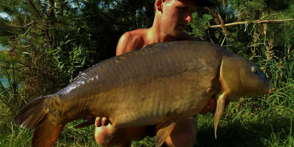 Kapři v něžných rukou!