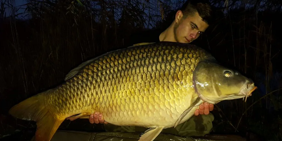 Obrovský šupináč