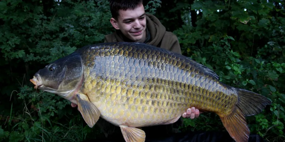 Další labské zářezy