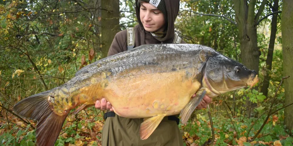 Nový úsek, nová naděje