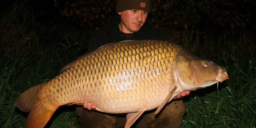 Když jeden záběr stačí