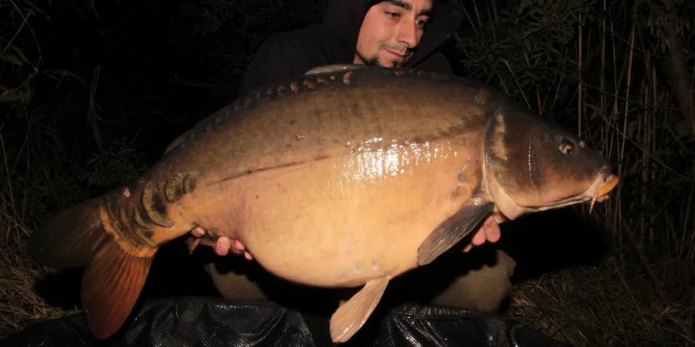 Tomkyč opět na řece