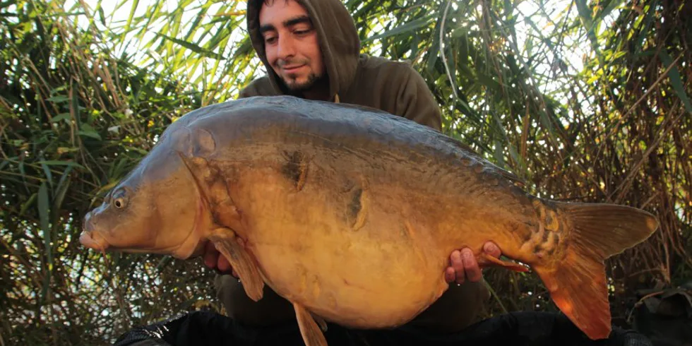 Tomkyč na pískovně