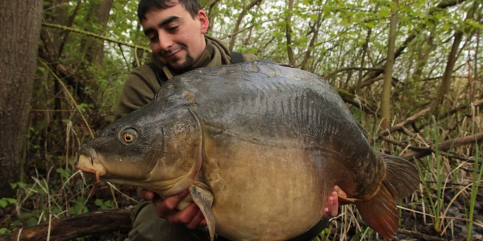 Zpětné poohlédnutí na první výpravu do Francie