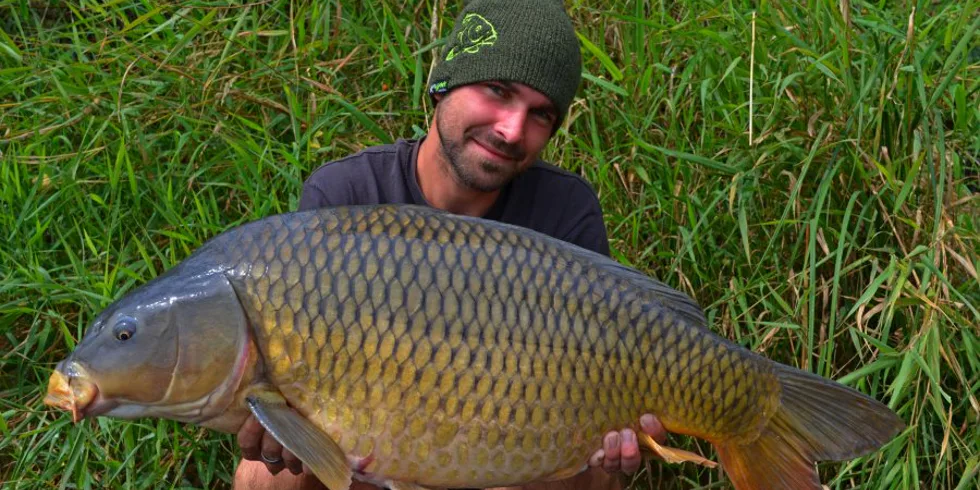 Poslední srpnový týden