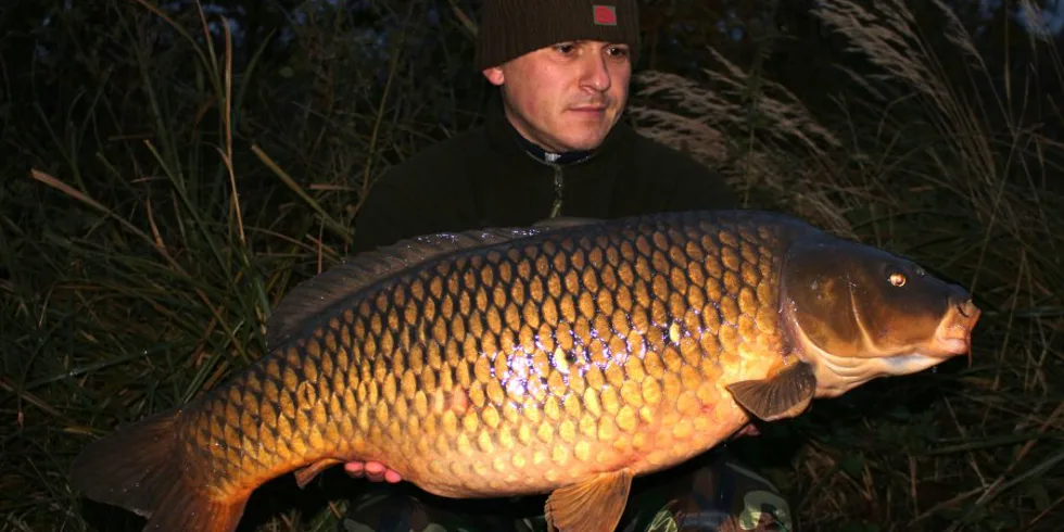 Listopadových 48 hodin